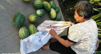 汾阳吃瓜最新事件爆料,揭秘背后惊人真相  第1张